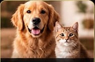 Pet Supplies